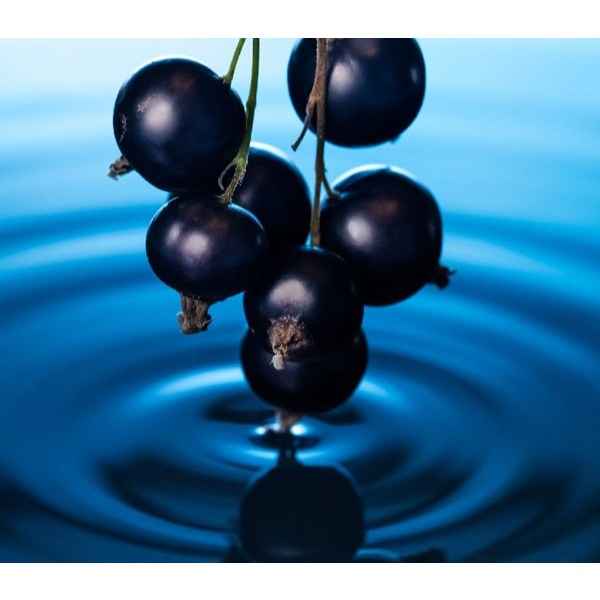 Colour Me Femme Midnight Blue Edp
