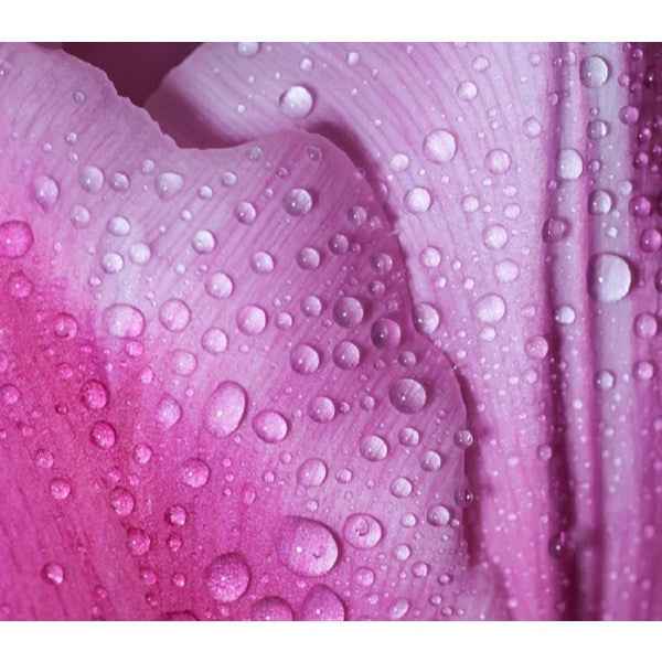 Colour Me Femme Flowers Flowers Edp