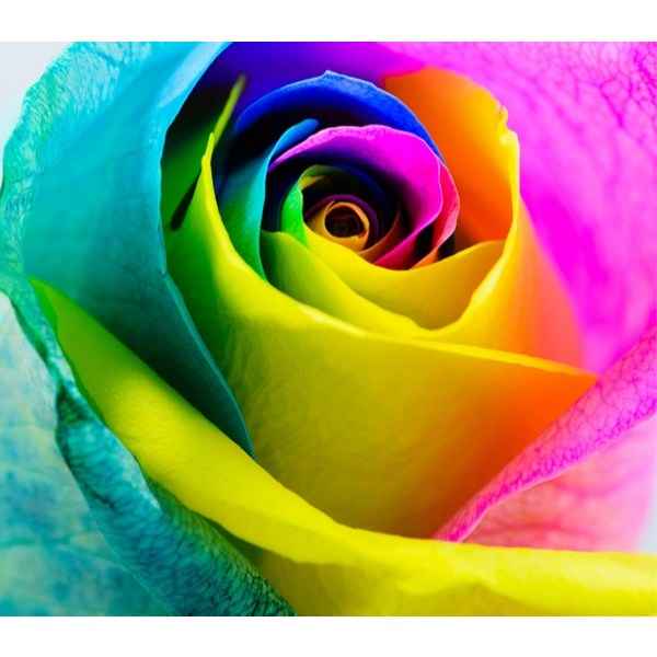 Colour Me Femme Colours Edp- for Her