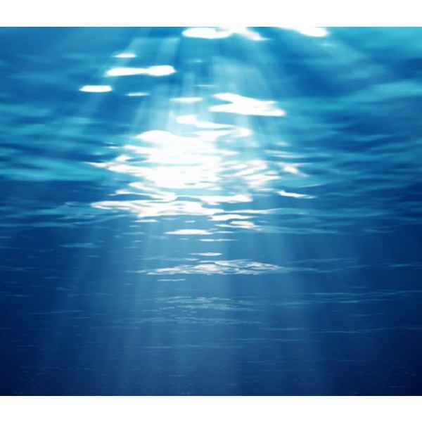 Colour Me Homme Blue Edp - for Him