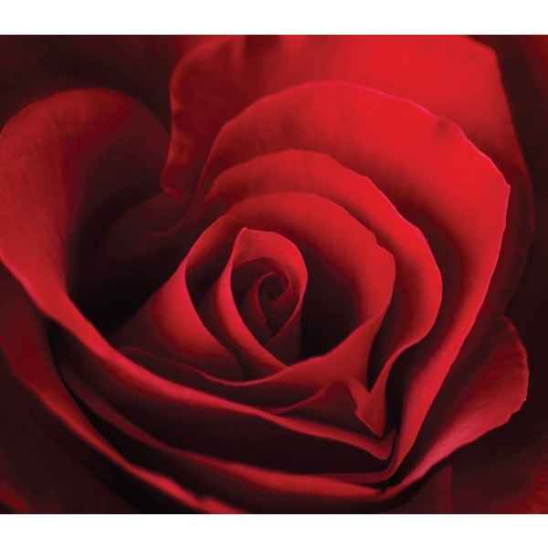 Colour Me Femme Red Edp - for Her